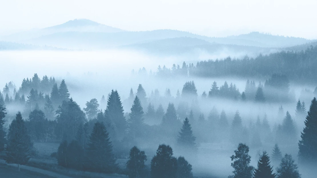 Guide to Český les. Procházky podzimním hvozdem za zaniklou historií i&nbsp;zvěřina na talíři