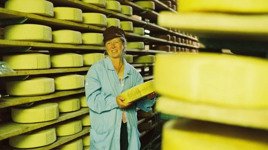 Zachraňte ušlechtilý sýr. Česká kniha mapuje mizející řemeslo mistrů z celé Itálie