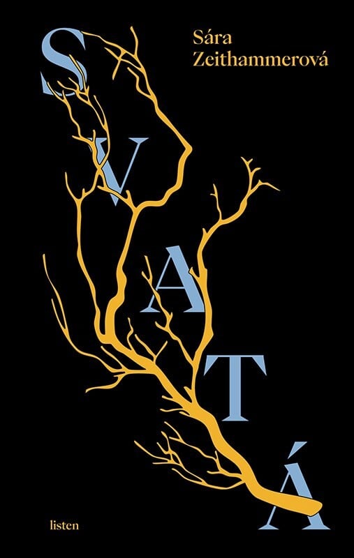 Obálka knihy Svatá