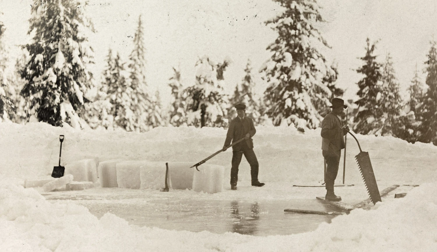 Královnina smečka psů. Jak Petr Vok v Česku založil díky Alžbětě I. chov ohařů