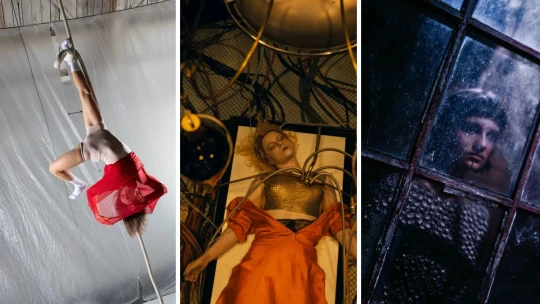 Darujte umění. Kulturní tipy pod stromeček pro filmové fanoušky i knihomoly