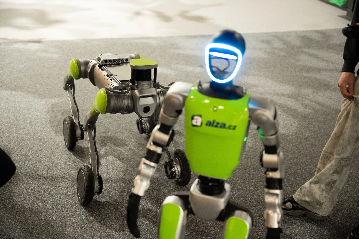 Tančí jako Bruce Lee, stojí i přes milion. Otestovali jsme roboty, co koupíte v Česku