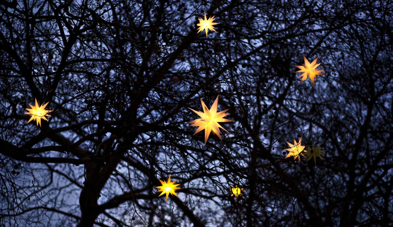 Svět se zase změnil k lepšímu. Tady je dvacet pět dobrých zpráv jako důkaz