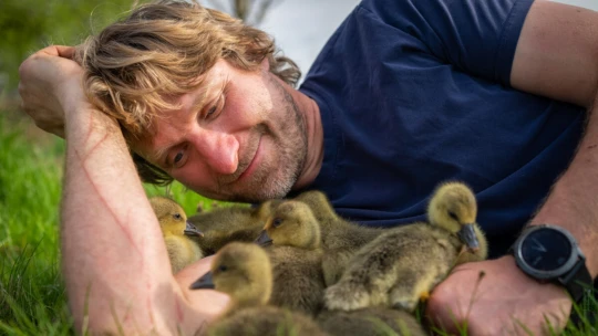 Skutečná pohádka o husopasovi. Dokázal, že hranice jsou jen v hlavě