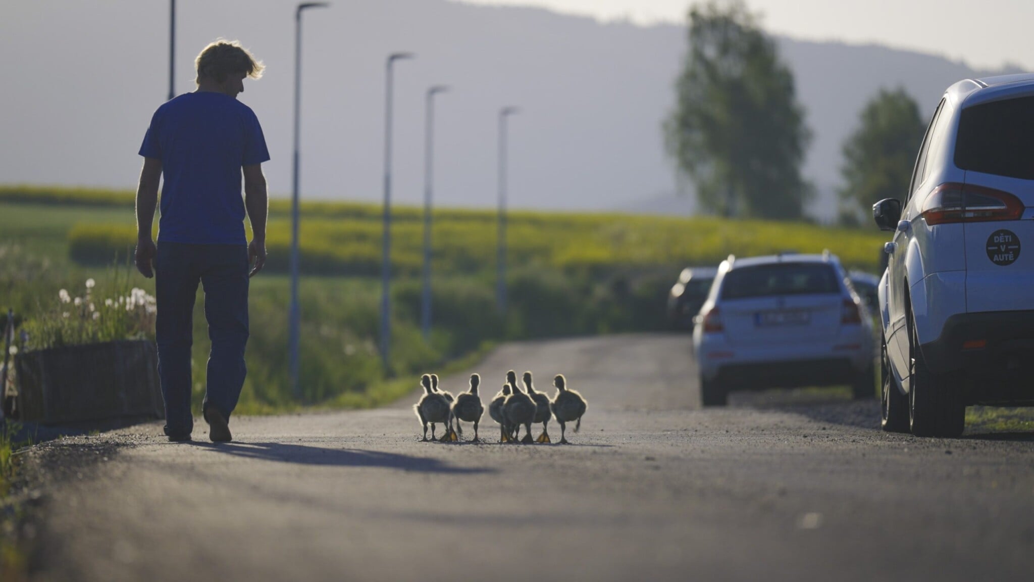 Skutečná pohádka o husopasovi. Dokázal, že hranice jsou jen v hlavě