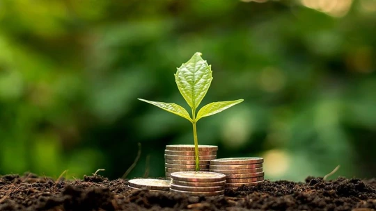 Bezpečný vstup do světa investic. Cestu nejen pro začátečníky ukazuje český portál