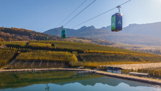 Jablka mají vlastní lanovku. Jak to vypadá u jednoho z největších ovocnářů v Evropě