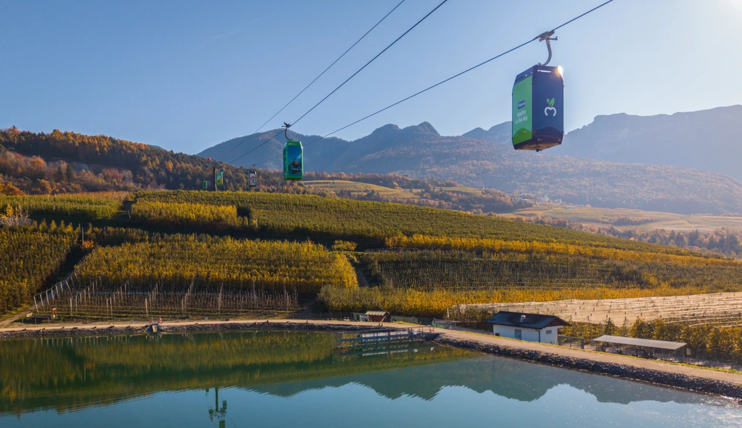 Jablka mají vlastní lanovku. Jak to vypadá u jednoho z největších ovocnářů v Evropě