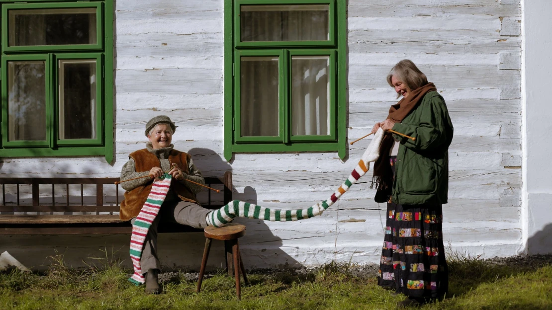 Když je sociální podnik cool. Čím si Ponožky od babičky získaly mladou generaci?