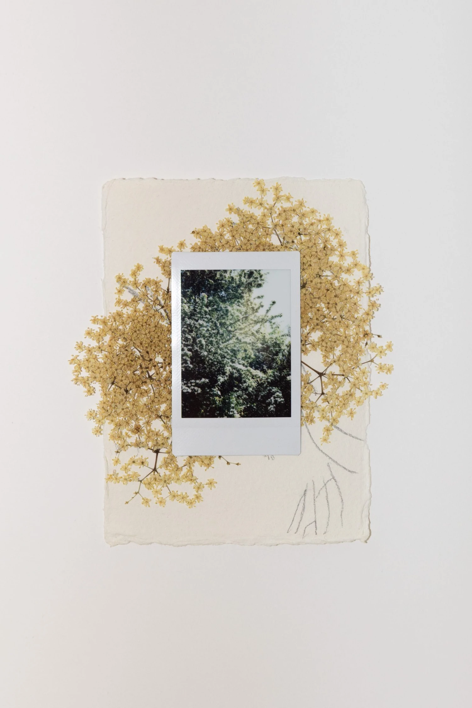 Nikol Popovská v NIA Gallery