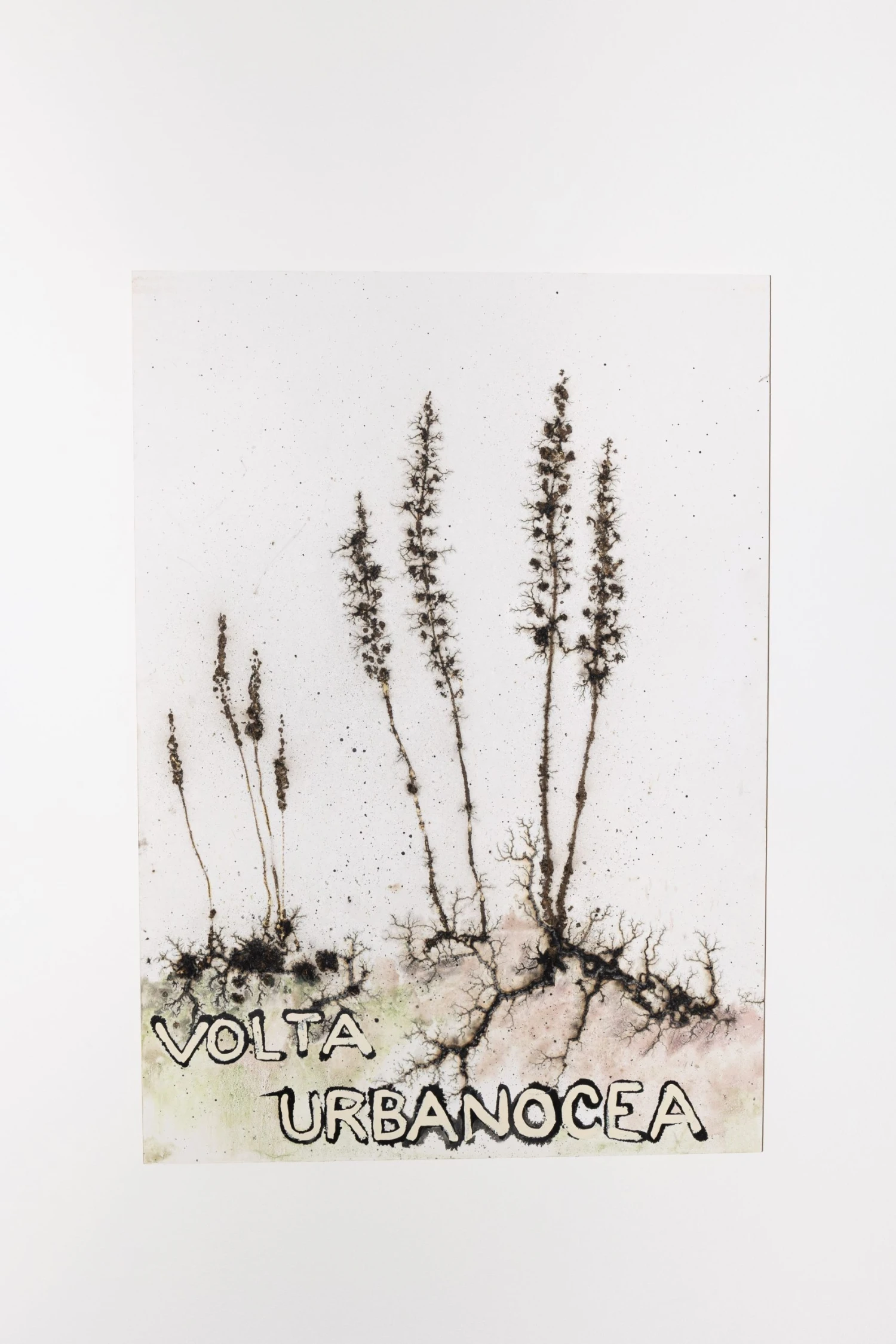 Nikol Popovská v NIA Gallery