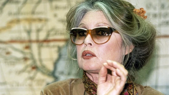Zemřela francouzská herečka Brigitte Bardot. Bylo jí 91 let