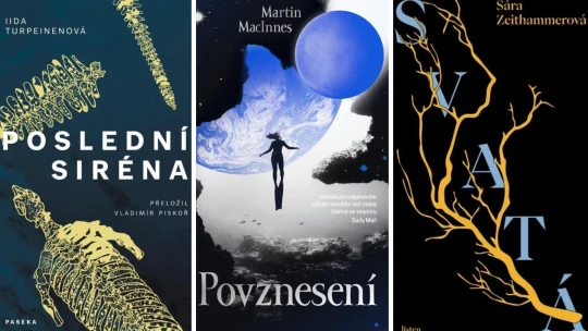 Boxující ženy, stopování Boha a&nbsp;mořské krávy. Spisovatelské tipy na adventní čtení