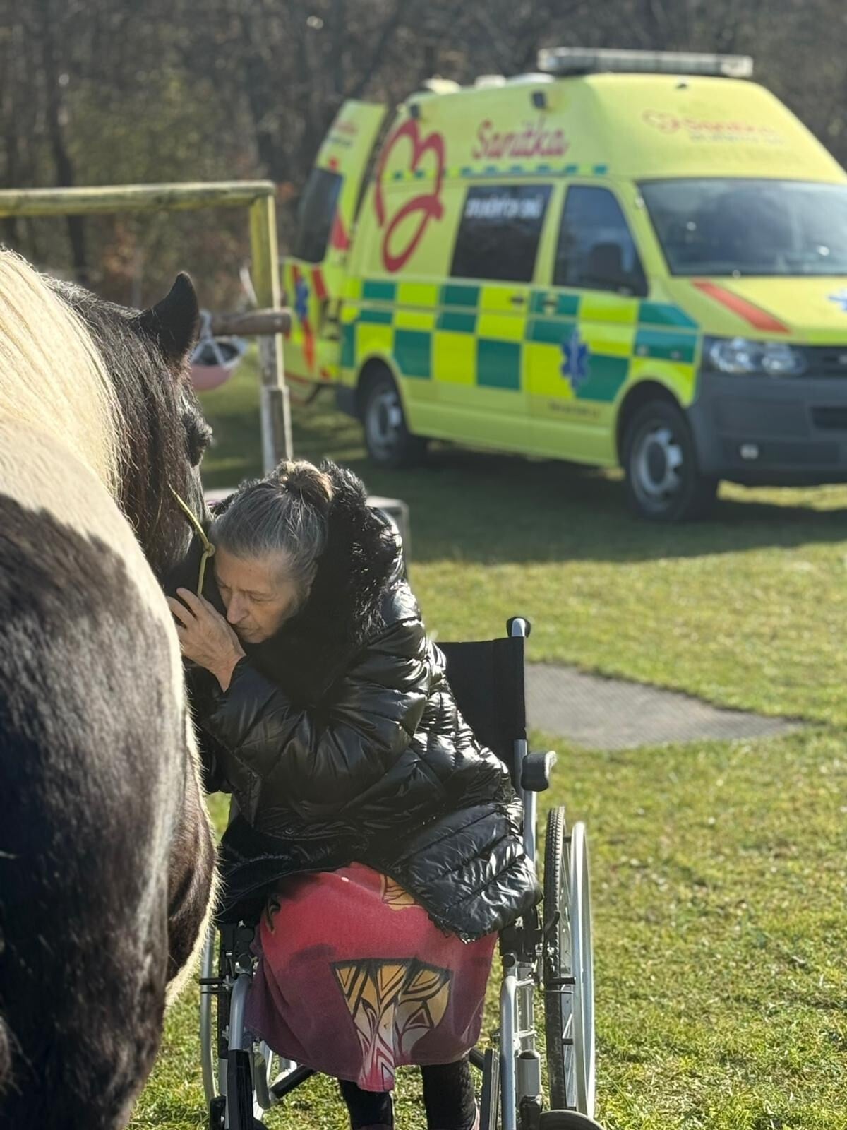 Touha vidět se ještě s milovanou kobylkou Carmen.