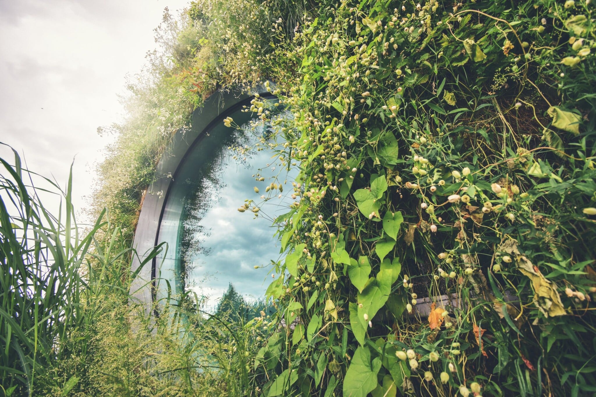 Slavkovská Liko-S ulovila další patent. Chce ovládnout evropský trh se zelenými fasádami