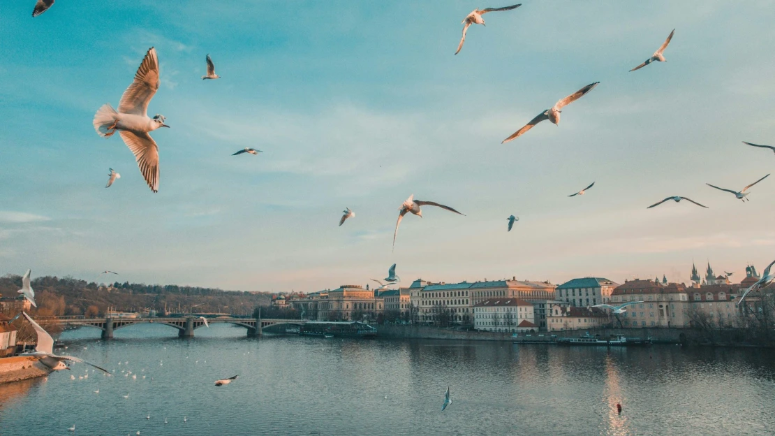V Praze rekord, v Brně nejvíc za deset let. Byty od developerů šly loni na dračku