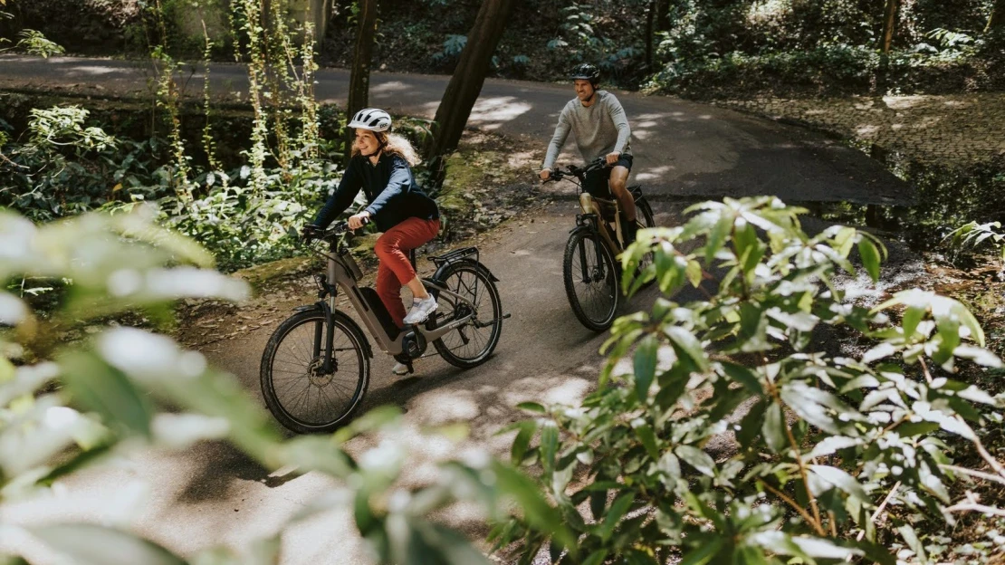 Boom elektrokol skončil. Prodej v&nbsp;Česku se loni snížil zhruba o&nbsp;desetinu