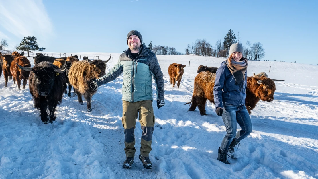 O chovu krav nevěděli nic. Dnes patří jejich farma k nejlepším v Česku