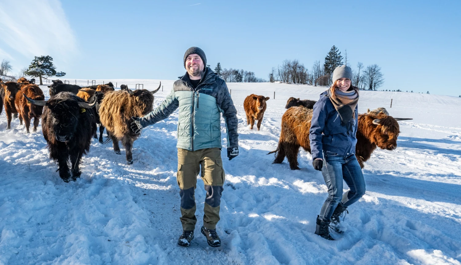 O chovu krav nevěděli nic. Dnes patří jejich farma k nejlepším v Česku
