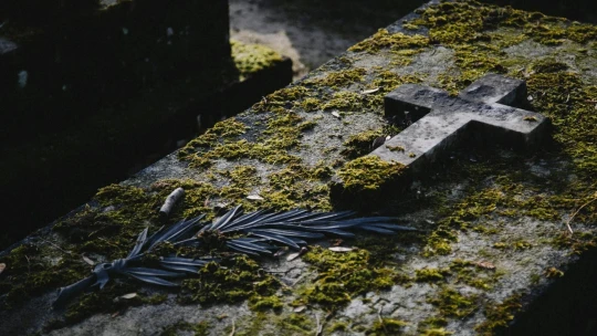 Byznys se smrtí se mění. Češi utrácejí za luxusní pohřby i ekologické urny