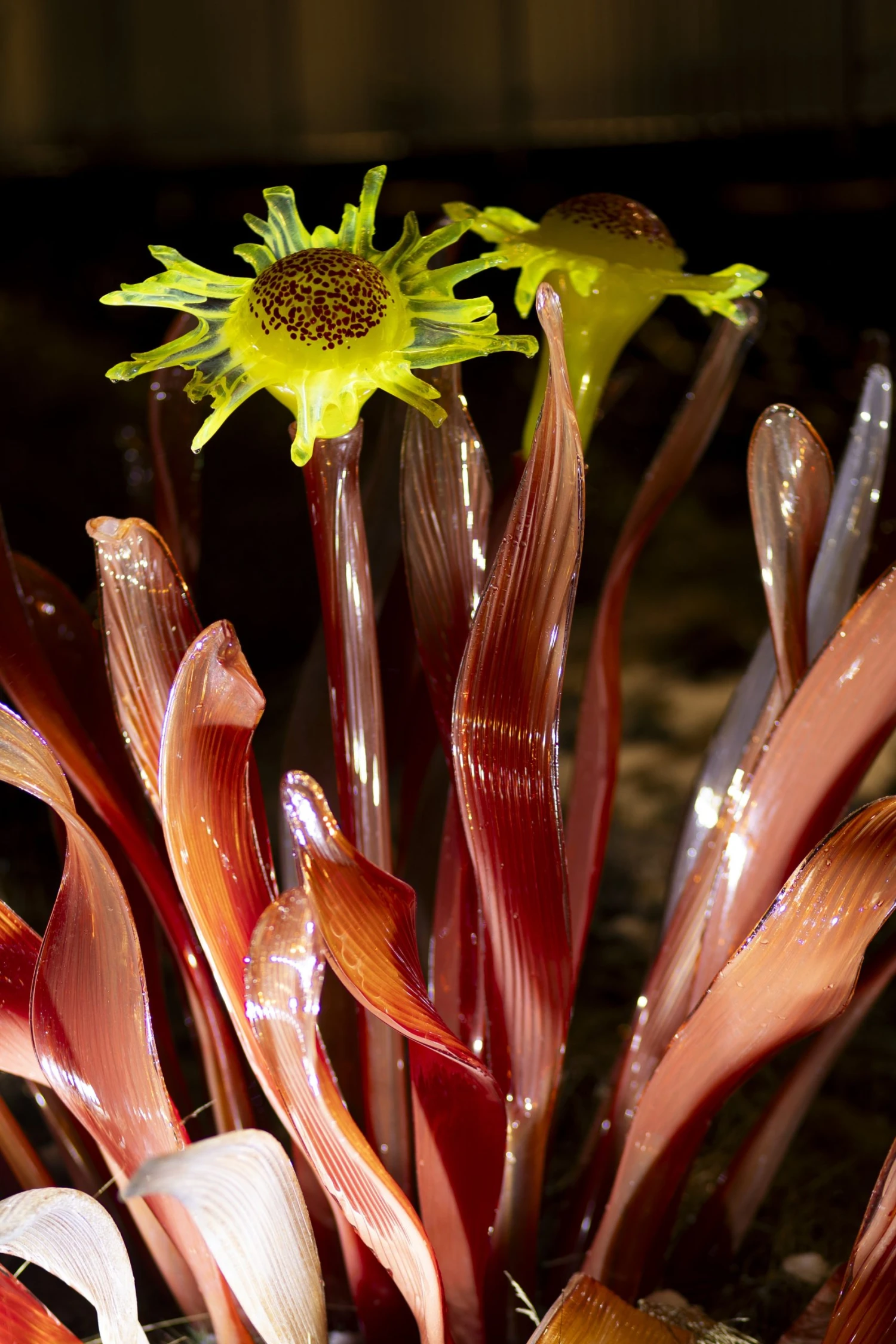 Křišťálová zahrada