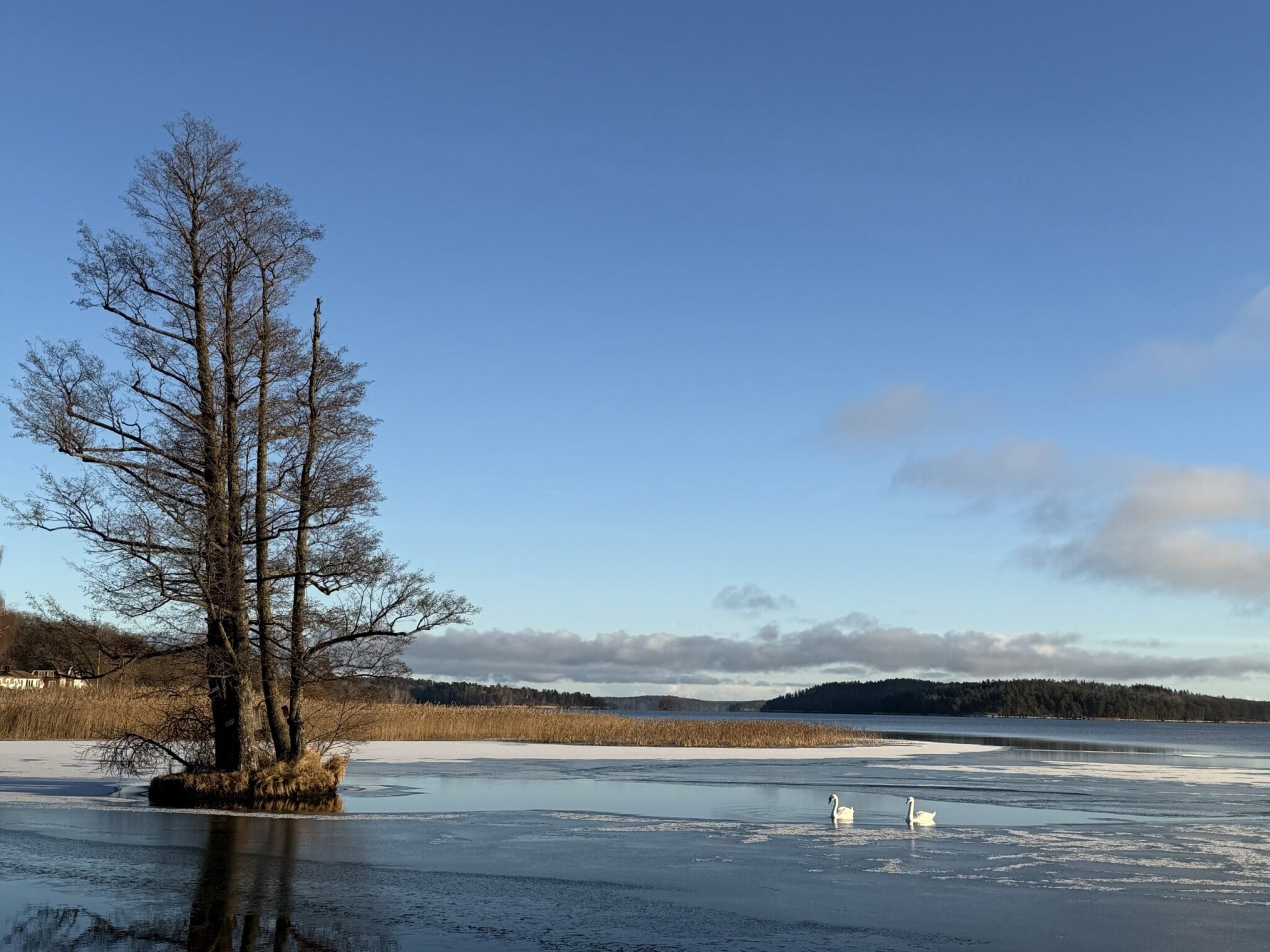 Out of Office z ordinace: Diabetoložka doporučuje více spánku i dokument na Netflixu