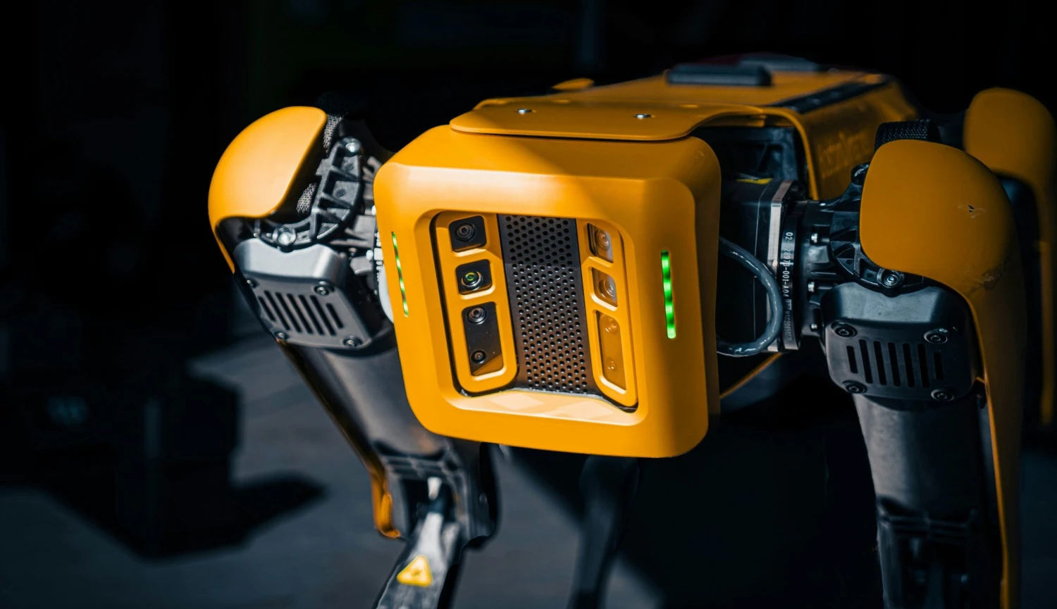 Nepotřebují venčit a zvládnou i raketomet. Trh s robotickými psy stále roste