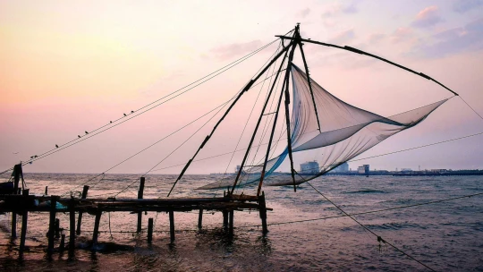 Umění vonící skořicí v&nbsp;přístavu Kochi. První krok do Indie nemusí být šok