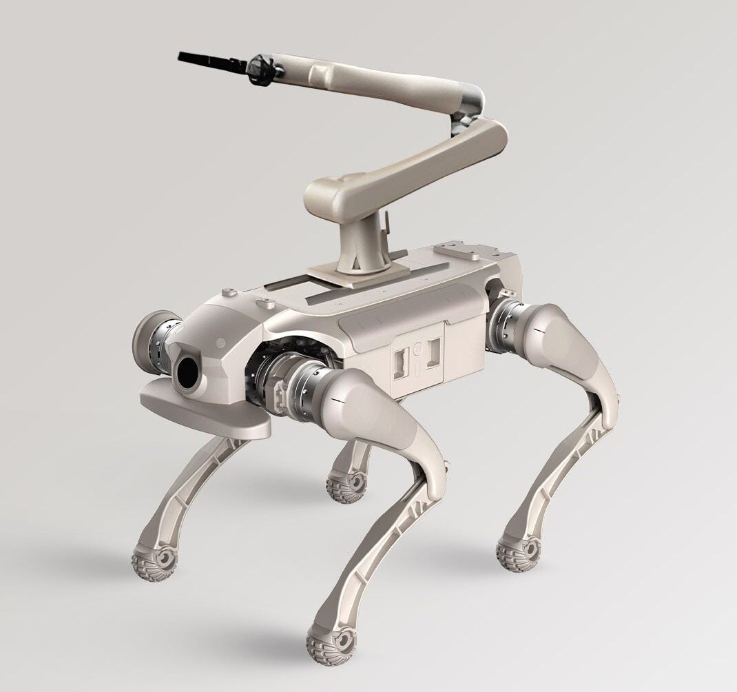 Nepotřebují venčit a zvládnou i raketomet. Trh s robotickými psy stále roste