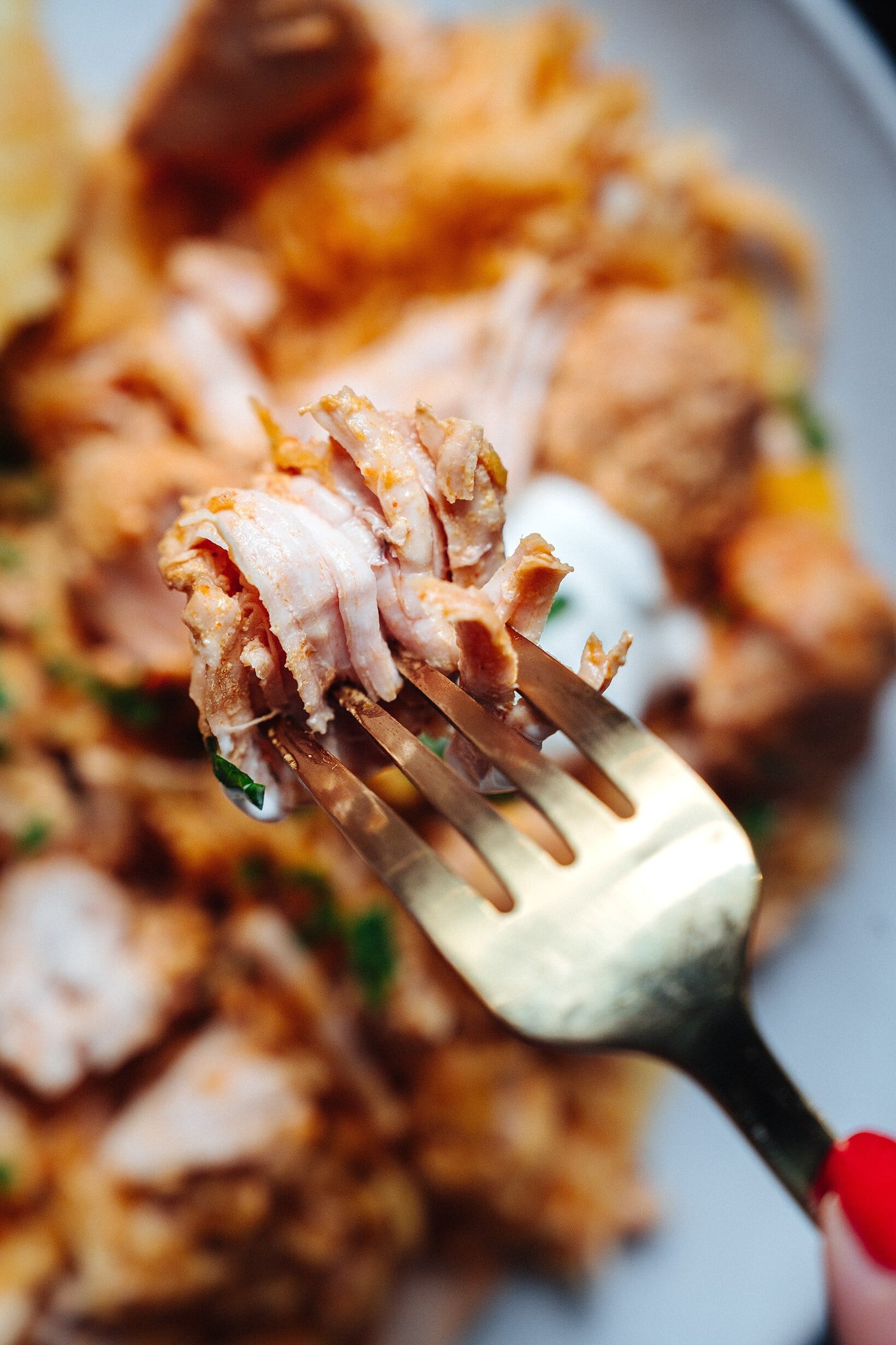 Segedín zdravěji. Lehké krůtí maso s bezlepkovým jáhlovým knedlíkem