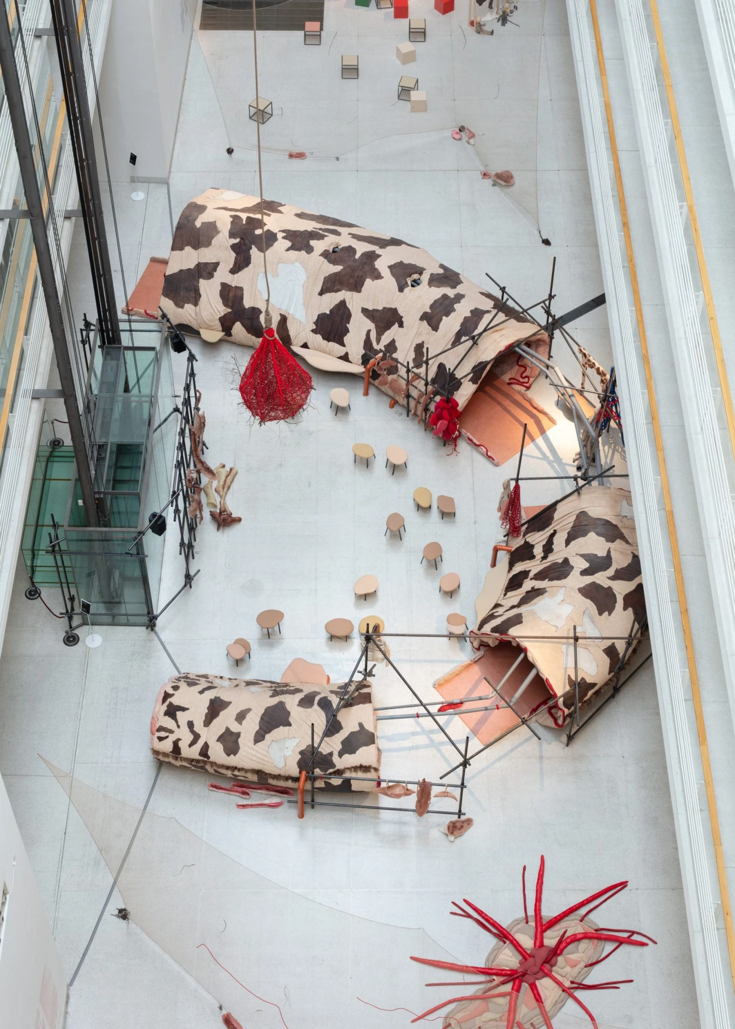 Ozvěny benátského Bienále – Eva Koťátková