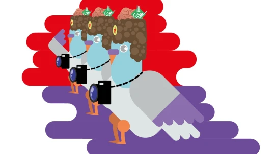 Neuroholubník. Rusové implantují holubům čipy a&nbsp;dělají z&nbsp;nich biologické drony