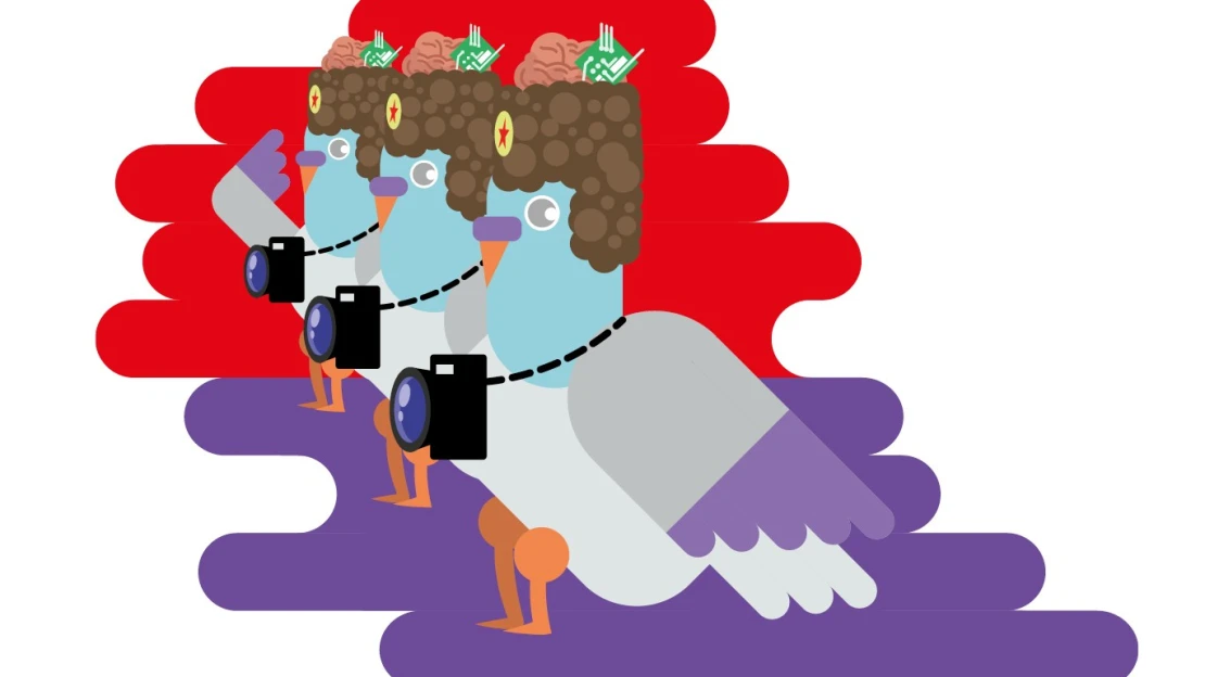 Neuroholubník. Rusové implantují holubům čipy a&nbsp;dělají z&nbsp;nich biologické drony