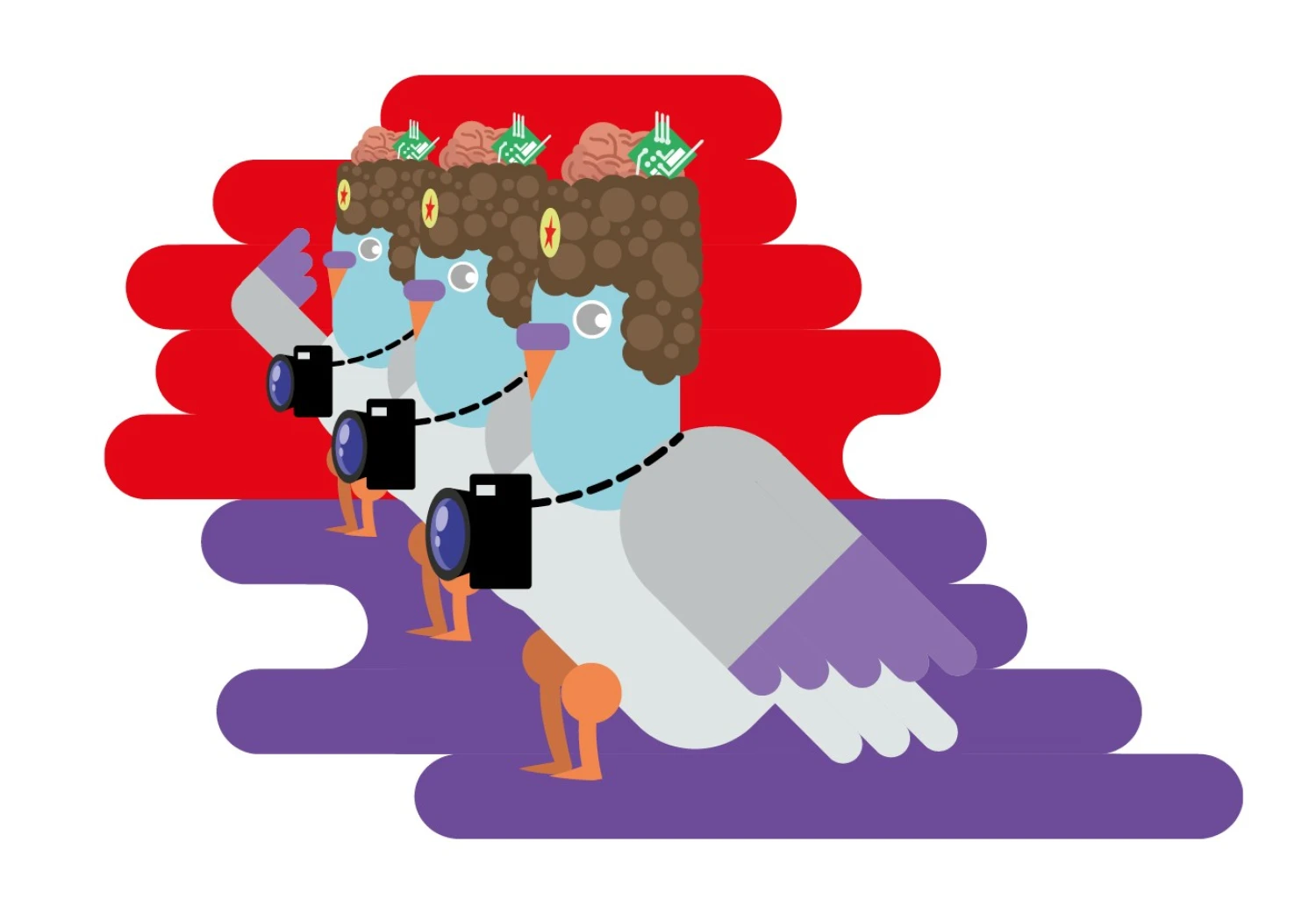 Neuroholubník. Rusové implantují holubům čipy a dělají z nich biologické drony