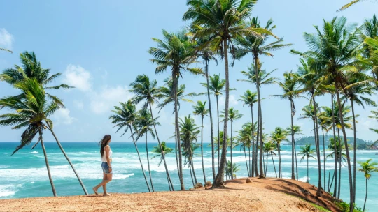 Chcete zakotvit na Srí Lance? Země spouští nová víza pro digitální nomády