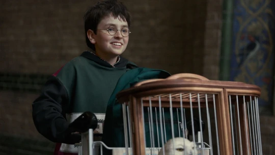 Takhle vypadá nový Harry Potter! Na obrazovky dorazí už letos na Vánoce