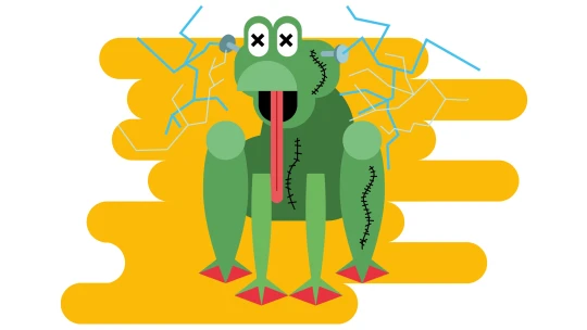 Neuroholubník. Rusové implantují holubům čipy a&nbsp;dělají z&nbsp;nich biologické drony