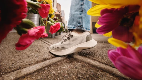 Od tenisek k&nbsp;AI. Akcie společnosti Allbirds stouply na šestinásobek