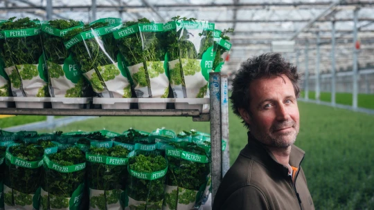 Máte ji doma? Navštívili jsme skleník, kde pěstují miliony bylinek pro celé Česko