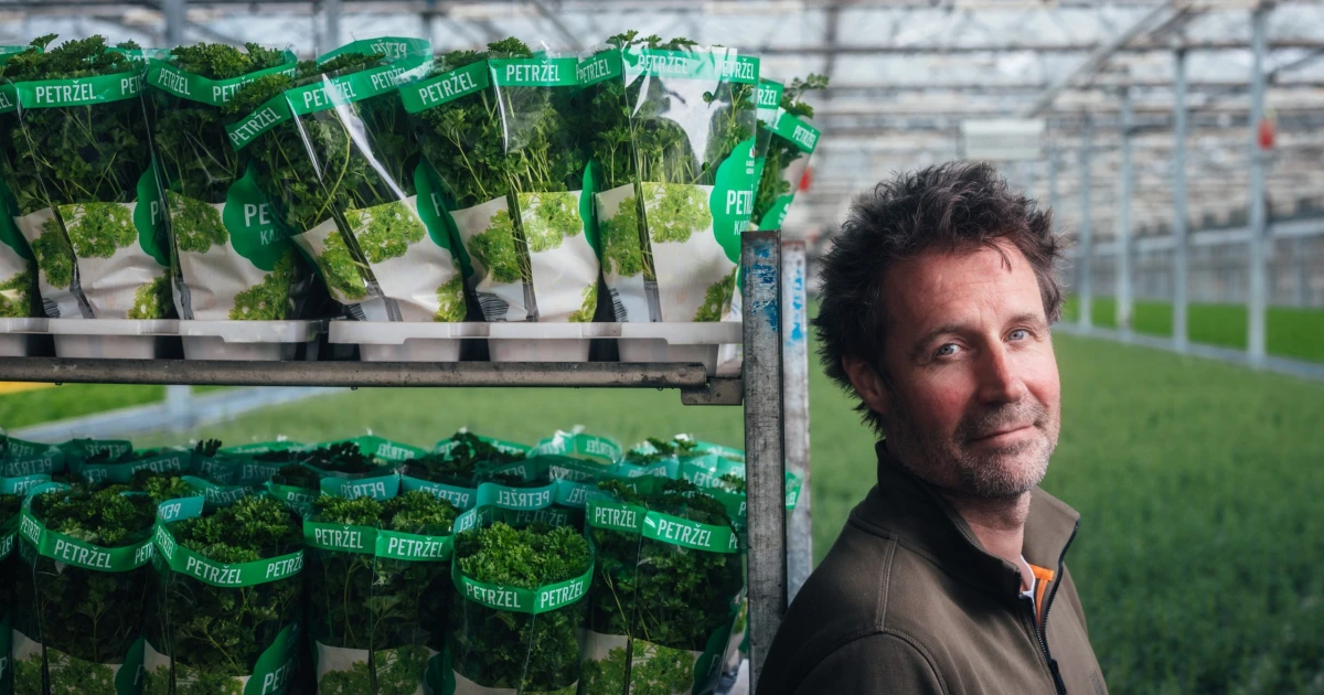 Máte ji doma? Navštívili jsme skleník, kde pěstují miliony bylinek pro celé Česko
