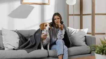 Netflix pro psy vydělává miliony. Proč lidé platí něco, co zvíře zajímá jen pět minut?