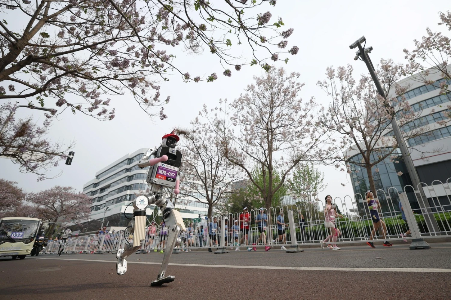 Roboti už jsou rychlejší než lidé. Stroj od Honoru zaběhl půlmaraton za padesát minut