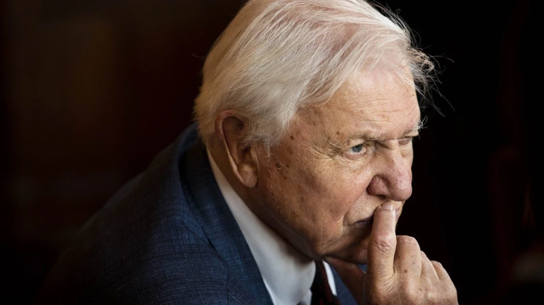 Já a Attenborough. Jak české osobnosti vnímají stoletého vypravěče přírody?
