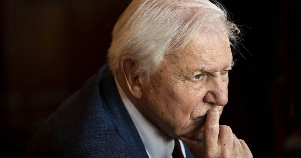 Já a Attenborough. Jak české osobnosti vnímají stoletého vypravěče přírody?