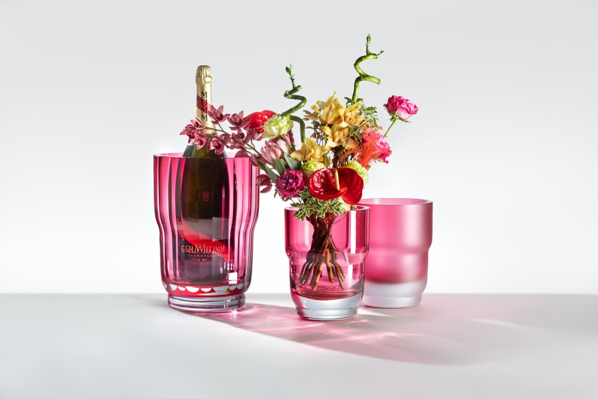 Jungvirt X Mumm