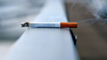 Od šňupání k sáčkům pod ret. Jak se za dvě století proměnila výroba tabáku v&nbsp;Česku?